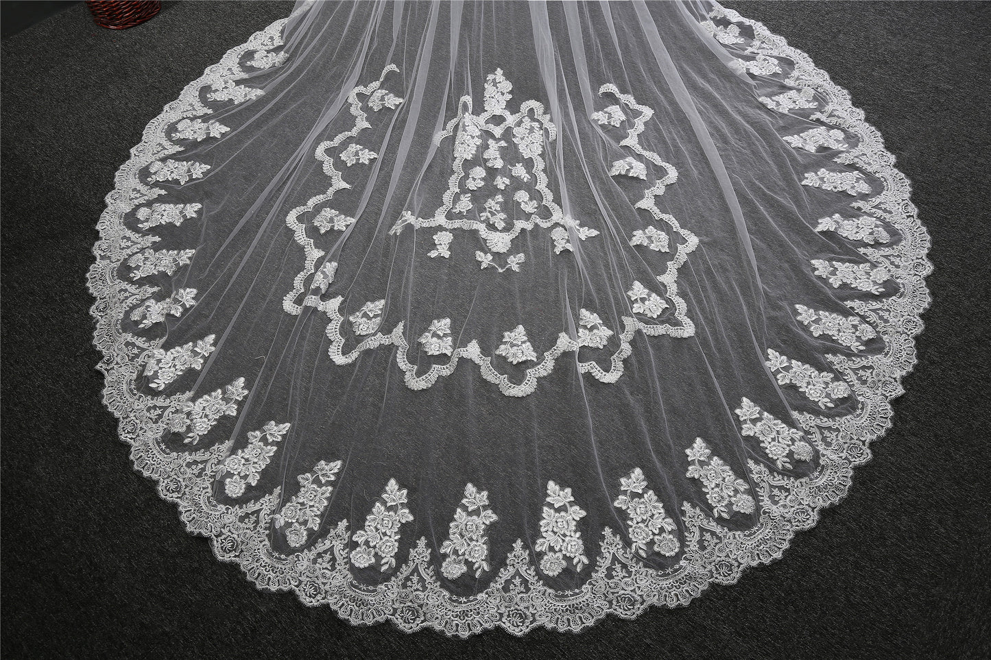 Luxurious wider wire lace cathedral bridal veil